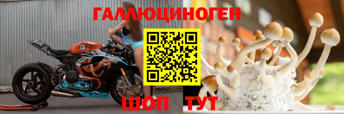 Псилоцибиновые грибы мицелий Урюпинск
